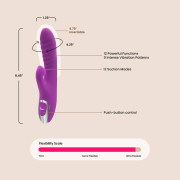 Viben Frenzy Suction Rabbit Vibrator